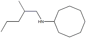 N-(2-methylpentyl)cyclooctanamine Struktur