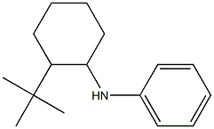 N-(2-tert-butylcyclohexyl)aniline Struktur