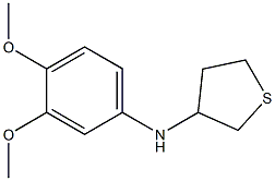 N-(3,4-dimethoxyphenyl)thiolan-3-amine Struktur