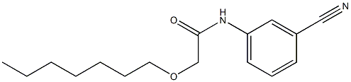 N-(3-cyanophenyl)-2-(heptyloxy)acetamide Struktur