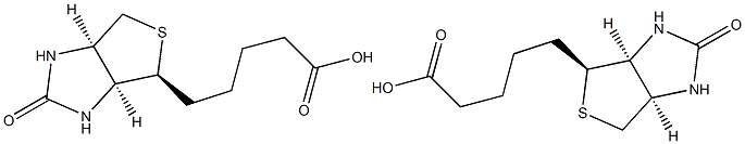  化學(xué)構(gòu)造式