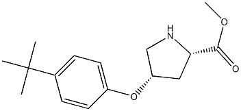 METHYL (2S,4S)-4-[4-(TERT-BUTYL)PHENOXY]-2-PYRROLIDINECARBOXYLATE Struktur