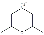 2,6-dimethylmorpholinium ion Struktur