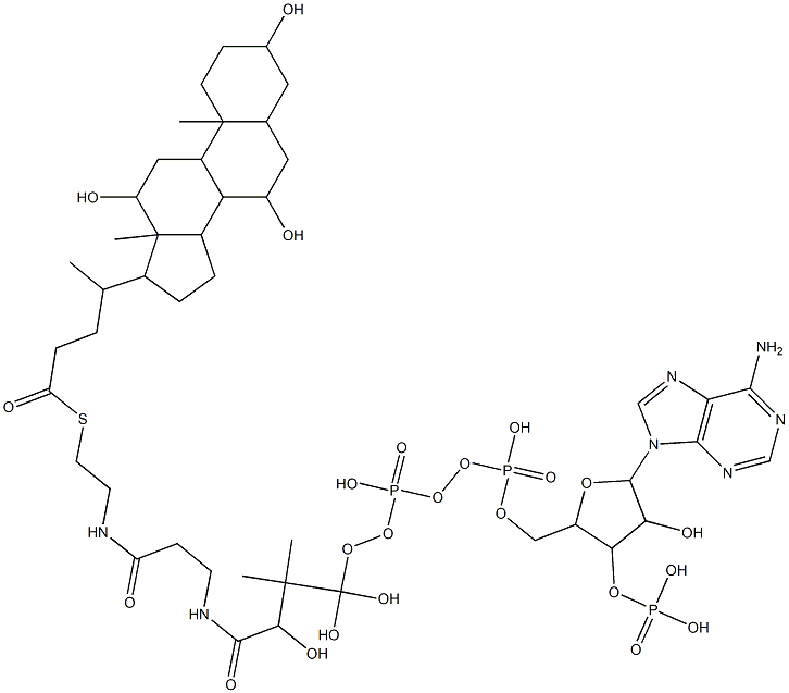 [5-(6-aminopurin-9-yl)-4-hydroxy-2-[[hydroxy-[hydroxy-[3-hydroxy-2,2-dimethyl-3-[2-[2-[4-(3,7,12-trihydroxy-10,13-dimethyl-2,3,4,5,6,7,8,9,11,12,14,15,16,17-tetradecahydro-1H-cyclopenta[a]phenanthren-17-yl)pentanoylsulfanyl]ethylcarbamoyl]ethylcarbamoyl]propoxy]-phosphoryl]oxy-phosphoryl]oxymethyl]oxolan-3-yl]oxyphosphonic acid Struktur