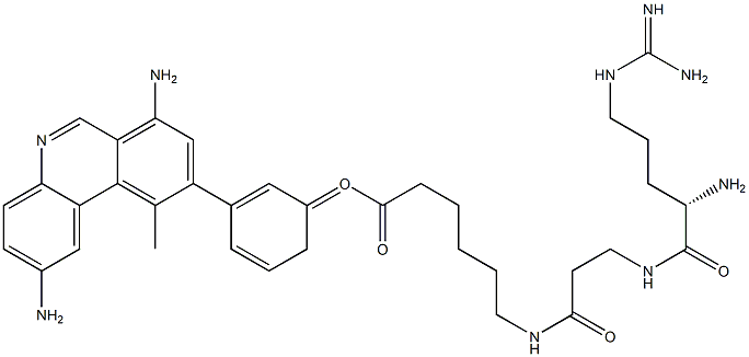 9-(3-(((arginyl-beta-alanyl)aminocaproyl)keto)phenyl)-2,7-diamino-10-methylphenanthridine Struktur