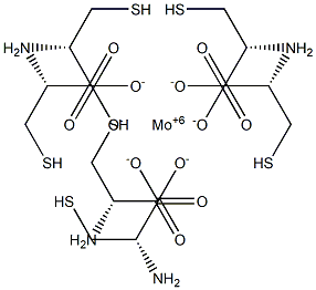 CYSTEINE-MOLYBDENUM Struktur