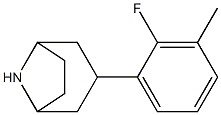 3-(2-fluoro-3-methylphenyl)-8-azabicyclo[3.2.1]octane Struktur