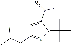 1-(1,1-DIMETHYLETHYL)-3-(2-METHYLPROPYL)-1H-PYRAZOLE-5-CARBOXYLICACID Struktur