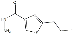 5-PROPYLTHIOPHENE-3-CARBOHYDRAZIDE Struktur