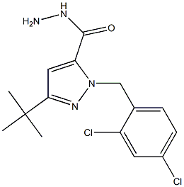 3-(TERT-BUTYL)-1-(2,4-DICHLOROBENZYL)PYRAZOLE-5-CARBOXYLIC ACID HYDRAZIDE Struktur