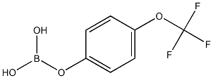 P-TRIFLUOROMETHOXY PHENYLBORIC ACID Struktur