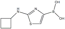 2-CYCLOBUTYLAMINOTHIAZOLE-4-BORONIC ACID Struktur