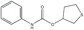 tetrahydrothiophen-3-yl N-phenylcarbamate Struktur