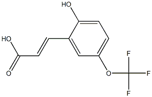 (E)-3-(2-hydroxy-5-(trifluoromethoxy)phenyl)acrylic acid Struktur