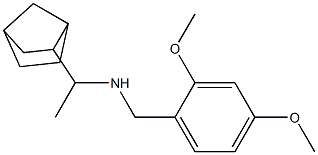 (1-{bicyclo[2.2.1]heptan-2-yl}ethyl)[(2,4-dimethoxyphenyl)methyl]amine Struktur