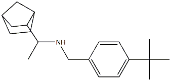 (1-{bicyclo[2.2.1]heptan-2-yl}ethyl)[(4-tert-butylphenyl)methyl]amine Struktur