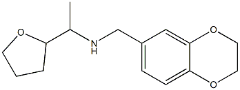 (2,3-dihydro-1,4-benzodioxin-6-ylmethyl)[1-(oxolan-2-yl)ethyl]amine Struktur