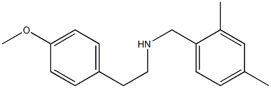 [(2,4-dimethylphenyl)methyl][2-(4-methoxyphenyl)ethyl]amine Struktur