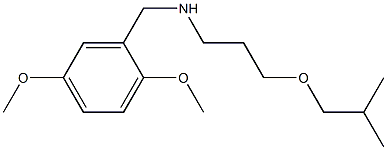 [(2,5-dimethoxyphenyl)methyl][3-(2-methylpropoxy)propyl]amine Struktur