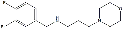 [(3-bromo-4-fluorophenyl)methyl][3-(morpholin-4-yl)propyl]amine Struktur