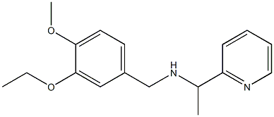 [(3-ethoxy-4-methoxyphenyl)methyl][1-(pyridin-2-yl)ethyl]amine Struktur