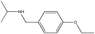 [(4-ethoxyphenyl)methyl](propan-2-yl)amine Struktur