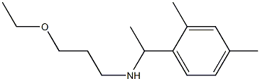 [1-(2,4-dimethylphenyl)ethyl](3-ethoxypropyl)amine Struktur