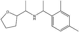 [1-(2,4-dimethylphenyl)ethyl][1-(oxolan-2-yl)ethyl]amine Struktur