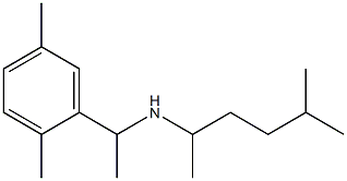 [1-(2,5-dimethylphenyl)ethyl](5-methylhexan-2-yl)amine Struktur