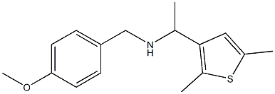 [1-(2,5-dimethylthiophen-3-yl)ethyl][(4-methoxyphenyl)methyl]amine Struktur