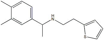 [1-(3,4-dimethylphenyl)ethyl][2-(thiophen-2-yl)ethyl]amine Struktur