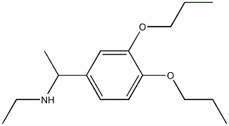 [1-(3,4-dipropoxyphenyl)ethyl](ethyl)amine Struktur