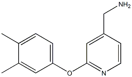 [2-(3,4-dimethylphenoxy)pyridin-4-yl]methylamine Struktur