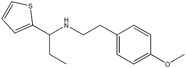 [2-(4-methoxyphenyl)ethyl][1-(thiophen-2-yl)propyl]amine Struktur