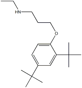 [3-(2,4-di-tert-butylphenoxy)propyl](ethyl)amine Struktur