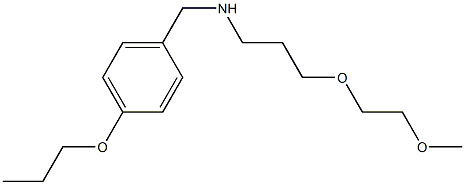 [3-(2-methoxyethoxy)propyl][(4-propoxyphenyl)methyl]amine Struktur