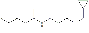 [3-(cyclopropylmethoxy)propyl](5-methylhexan-2-yl)amine Struktur