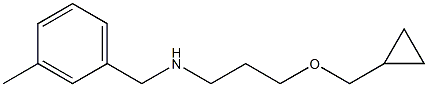 [3-(cyclopropylmethoxy)propyl][(3-methylphenyl)methyl]amine Struktur