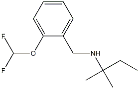 {[2-(difluoromethoxy)phenyl]methyl}(2-methylbutan-2-yl)amine Struktur