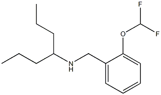 {[2-(difluoromethoxy)phenyl]methyl}(heptan-4-yl)amine Struktur