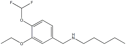 {[4-(difluoromethoxy)-3-ethoxyphenyl]methyl}(pentyl)amine Struktur