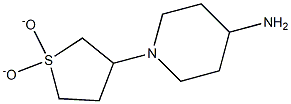 1-(1,1-dioxidotetrahydrothien-3-yl)piperidin-4-amine Struktur