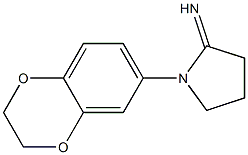 1-(2,3-dihydro-1,4-benzodioxin-6-yl)pyrrolidin-2-imine Struktur