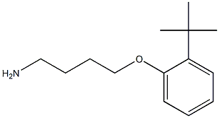 1-(4-aminobutoxy)-2-tert-butylbenzene Struktur