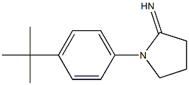 1-(4-tert-butylphenyl)pyrrolidin-2-imine Struktur