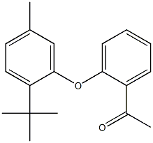 1-[2-(2-tert-butyl-5-methylphenoxy)phenyl]ethan-1-one Struktur