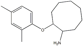 2-(2,4-dimethylphenoxy)cyclooctan-1-amine Struktur