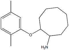 2-(2,5-dimethylphenoxy)cyclooctan-1-amine Struktur