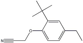 2-(2-tert-butyl-4-ethylphenoxy)acetonitrile Struktur