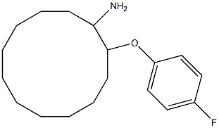 2-(4-fluorophenoxy)cyclododecan-1-amine Struktur